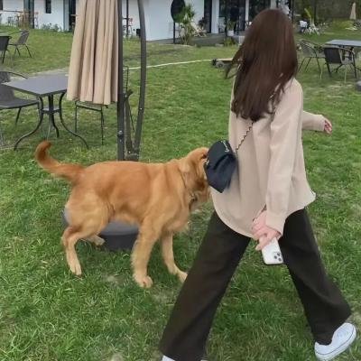 永不退缩：反抗