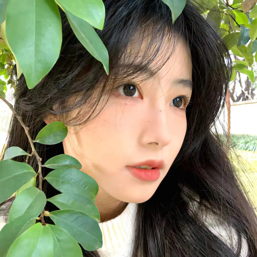 她来了 第一季